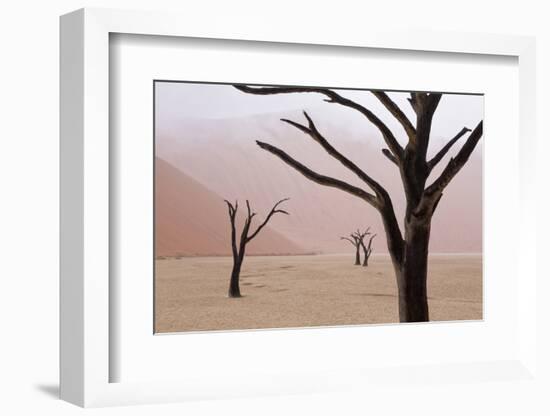 Rainy weather in early morning, Deadvlei, Namib-Naukluft Park, Namibia-Wendy Kaveney-Framed Photographic Print