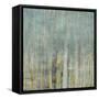 Rainy Window 2-Brenna Harvey-Framed Stretched Canvas