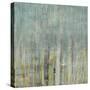 Rainy Window 2-Brenna Harvey-Stretched Canvas