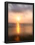 Essential Black