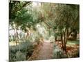 Wood Mount