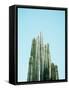 Canvas Black