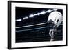 Raised Football Helmet at an American Football Stadium-yobro-Framed Photographic Print