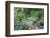 Raised garden beds in a community garden containing strawberries, Chioggia beets, lettuce-Janet Horton-Framed Photographic Print