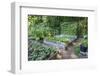 Raised garden beds in a community garden containing strawberries, Chioggia beets, lettuce-Janet Horton-Framed Photographic Print