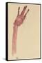 Raised Red Hand, 1910-Egon Schiele-Framed Stretched Canvas