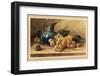 Raisin Blanc-C^ Klein-Framed Art Print