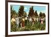 Raisin Vineyard, Fresno, California-null-Framed Premium Giclee Print