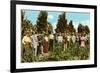 Raisin Vineyard, Fresno, California-null-Framed Premium Giclee Print