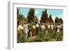 Raisin Vineyard, Fresno, California-null-Framed Art Print