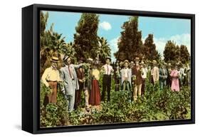 Raisin Vineyard, Fresno, California-null-Framed Stretched Canvas