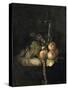 Raisins et pêches-Willem Van Aelst-Stretched Canvas