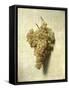 Raisons Blancswhite Grapes-Louis Leopold Boilly-Framed Stretched Canvas