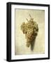 Raisons Blancswhite Grapes-Louis Leopold Boilly-Framed Giclee Print