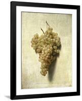 Raisons Blancswhite Grapes-Louis Leopold Boilly-Framed Giclee Print