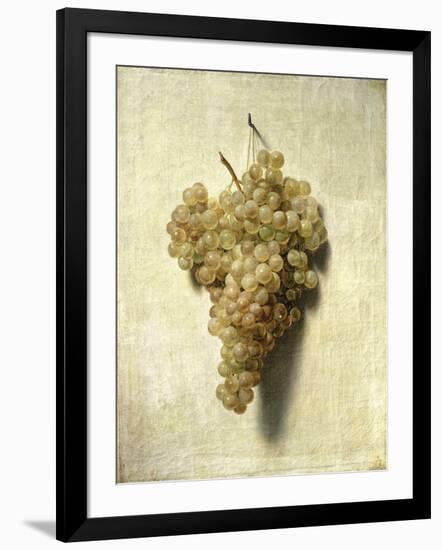 Raisons Blancswhite Grapes-Louis Leopold Boilly-Framed Giclee Print