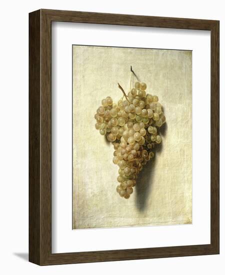 Raisons Blancswhite Grapes-Louis Leopold Boilly-Framed Giclee Print