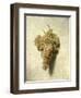 Raisons Blancswhite Grapes-Louis Leopold Boilly-Framed Giclee Print