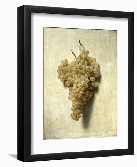 Raisons Blancswhite Grapes-Louis Leopold Boilly-Framed Giclee Print