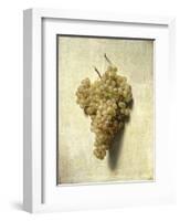 Raisons Blancswhite Grapes-Louis Leopold Boilly-Framed Giclee Print