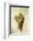 Raisons Blancswhite Grapes-Louis Leopold Boilly-Framed Giclee Print