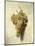 Raisons Blancswhite Grapes-Louis Leopold Boilly-Mounted Giclee Print