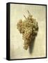 Raisons Blancswhite Grapes-Louis Leopold Boilly-Framed Stretched Canvas