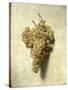 Raisons Blancswhite Grapes-Louis Leopold Boilly-Stretched Canvas