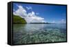 Raja Ampat Archipelago, West Papua, Indonesia, New Guinea, Southeast Asia, Asia-James Morgan-Framed Stretched Canvas