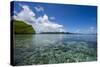 Raja Ampat Archipelago, West Papua, Indonesia, New Guinea, Southeast Asia, Asia-James Morgan-Stretched Canvas