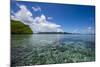 Raja Ampat Archipelago, West Papua, Indonesia, New Guinea, Southeast Asia, Asia-James Morgan-Mounted Photographic Print