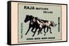 Raja Matches Deluxe-null-Framed Stretched Canvas