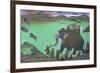 Raja Sarup Singh-null-Framed Giclee Print