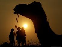 A Camel Stands as Villagers Walk at Sunrise at the Annual Cattle Fair in Pushkar, November 3, 2006-Rajesh Kumar Singh-Photographic Print