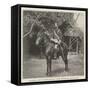 Rajoelina, Son of Rainilairivony, Prime Minister of Madagascar-null-Framed Stretched Canvas