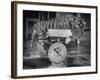 Rajpur, a Tiger Cub, Being Weighed on a Scale-Alfred Eisenstaedt-Framed Photographic Print