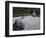 Raked Stone Garden, Taizo-In Temple, Kyoto, Japan-Michael Jenner-Framed Photographic Print