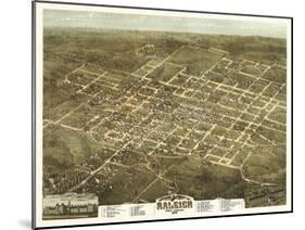 Raleigh, North Carolina - Panoramic Map-Lantern Press-Mounted Art Print