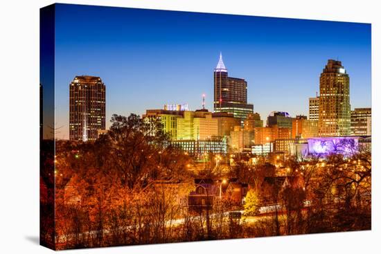 Raleigh, North Carolina, USA Skyline.-SeanPavonePhoto-Stretched Canvas