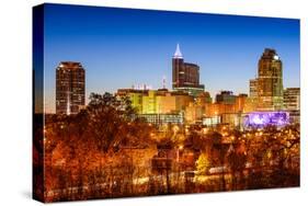 Raleigh, North Carolina, USA Skyline.-SeanPavonePhoto-Stretched Canvas