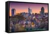 Raleigh, North Carolina, USA Skyline.-SeanPavonePhoto-Framed Stretched Canvas