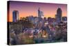 Raleigh, North Carolina, USA Skyline.-SeanPavonePhoto-Stretched Canvas