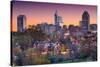 Raleigh, North Carolina, USA Skyline.-SeanPavonePhoto-Stretched Canvas