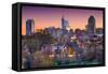 Raleigh, North Carolina, USA Skyline.-SeanPavonePhoto-Framed Stretched Canvas