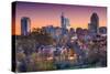 Raleigh, North Carolina, USA Skyline.-SeanPavonePhoto-Stretched Canvas