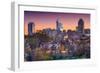 Raleigh, North Carolina, USA Skyline.-SeanPavonePhoto-Framed Photographic Print