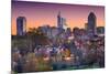 Raleigh, North Carolina, USA Skyline.-SeanPavonePhoto-Mounted Photographic Print