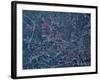 Raleigh, North Carolina-Stocktrek Images-Framed Photographic Print