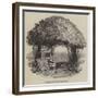 Raleigh's Yew Tree-null-Framed Giclee Print