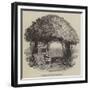 Raleigh's Yew Tree-null-Framed Giclee Print